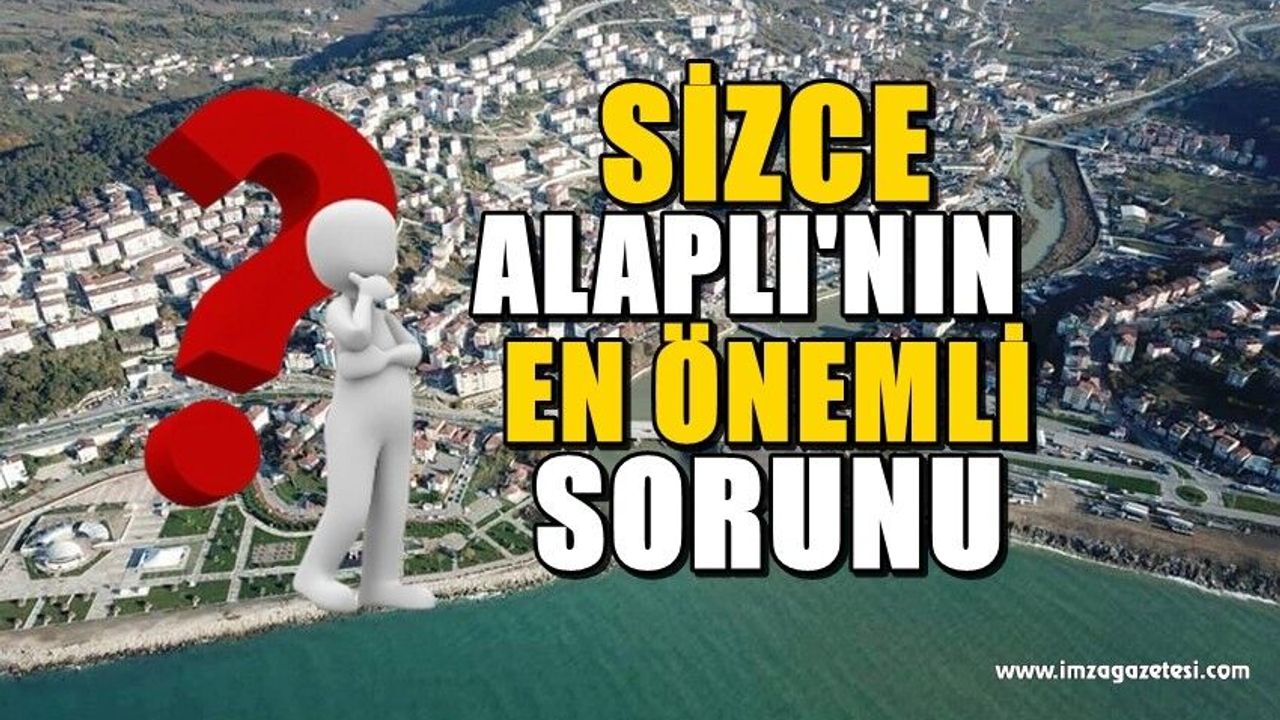 Sizce Alaplı'nın en önemli sorunu hangileri? Neler yapmalı?