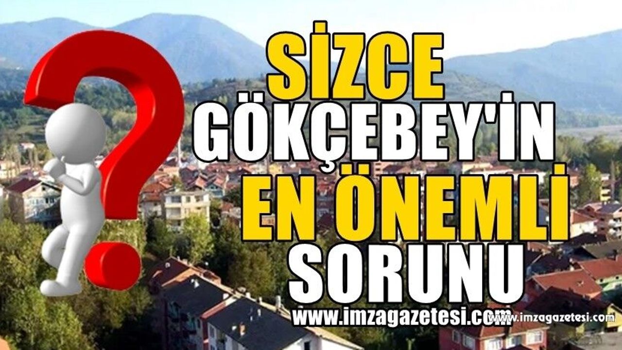 Sizce Gökçebey'in en önemli sorunu hangileri? Neler yapmalı?