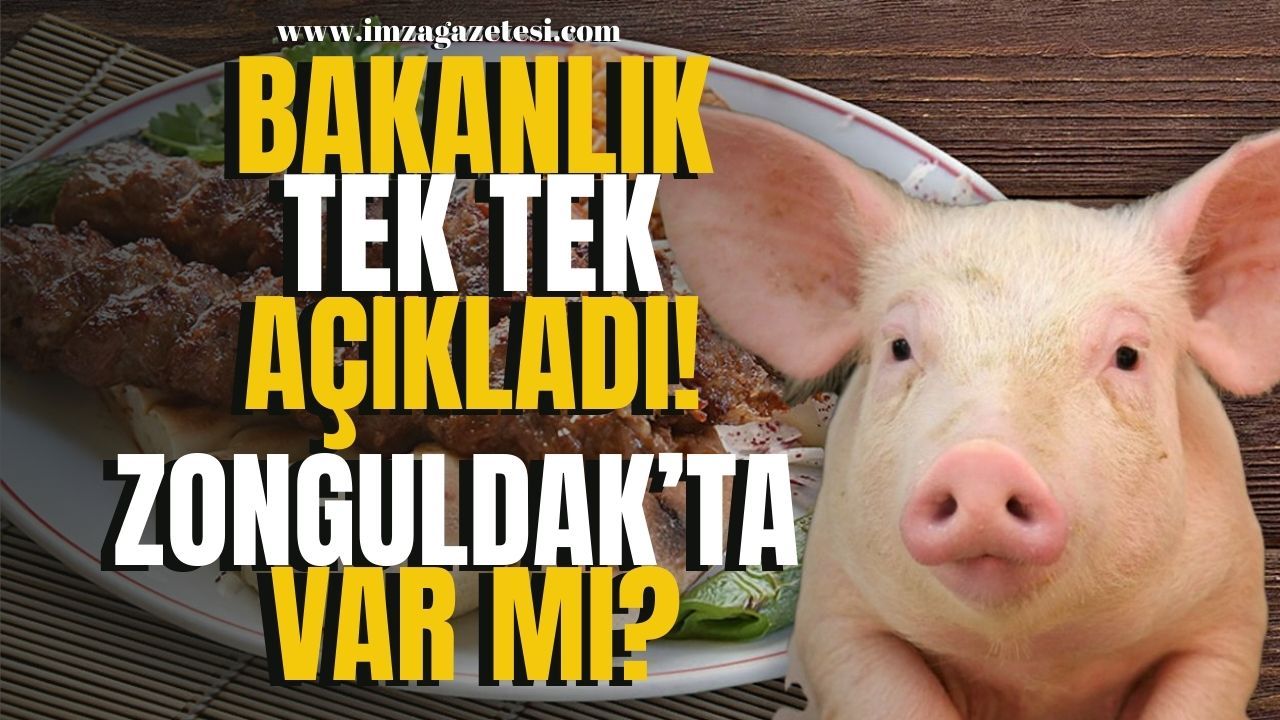 Tarım ve Orman Bakanlığı, Tağşiş Ürünleri İl İl Açıkladı! O iller Arasında Zonguldak Var Mı?