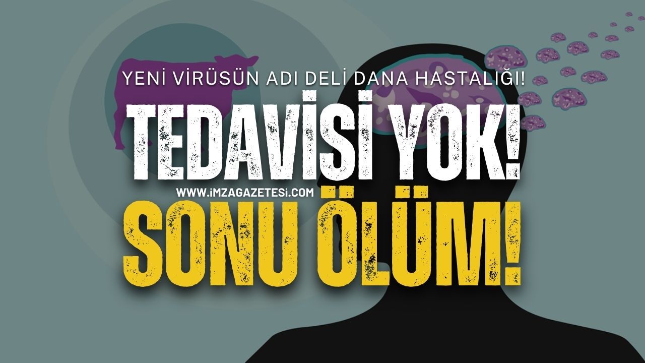 Deli Dana Hastalığı Nedir? Nasıl Bulaşır?