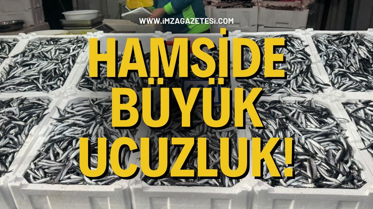 Hamside büyük ucuzluk!