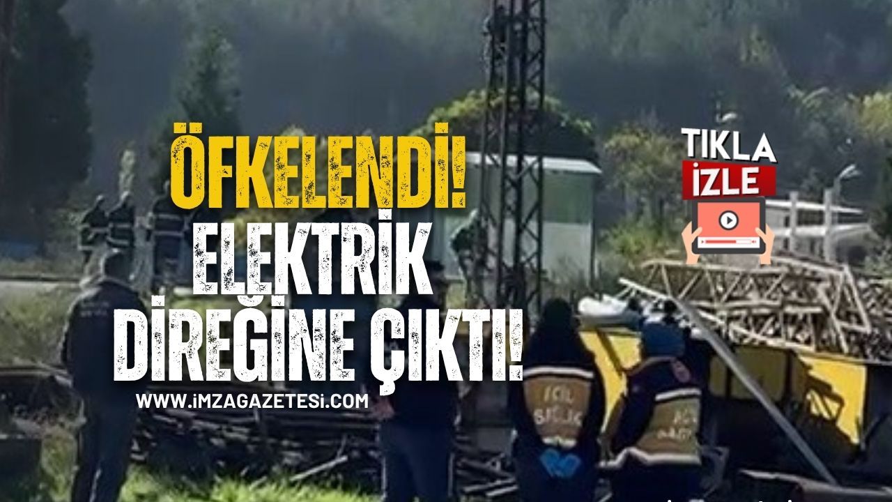 Trafik cezasına öfkelenen sürücü elektrik direğine çıktı!