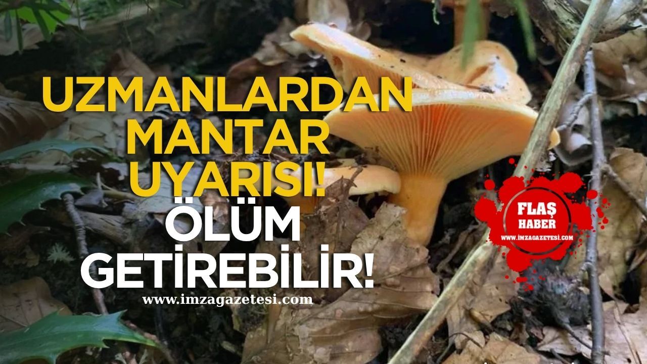 Uzmandan Mantar Uyarısı! “Doğal Değil, Bandrollü Mantar Tüketin”