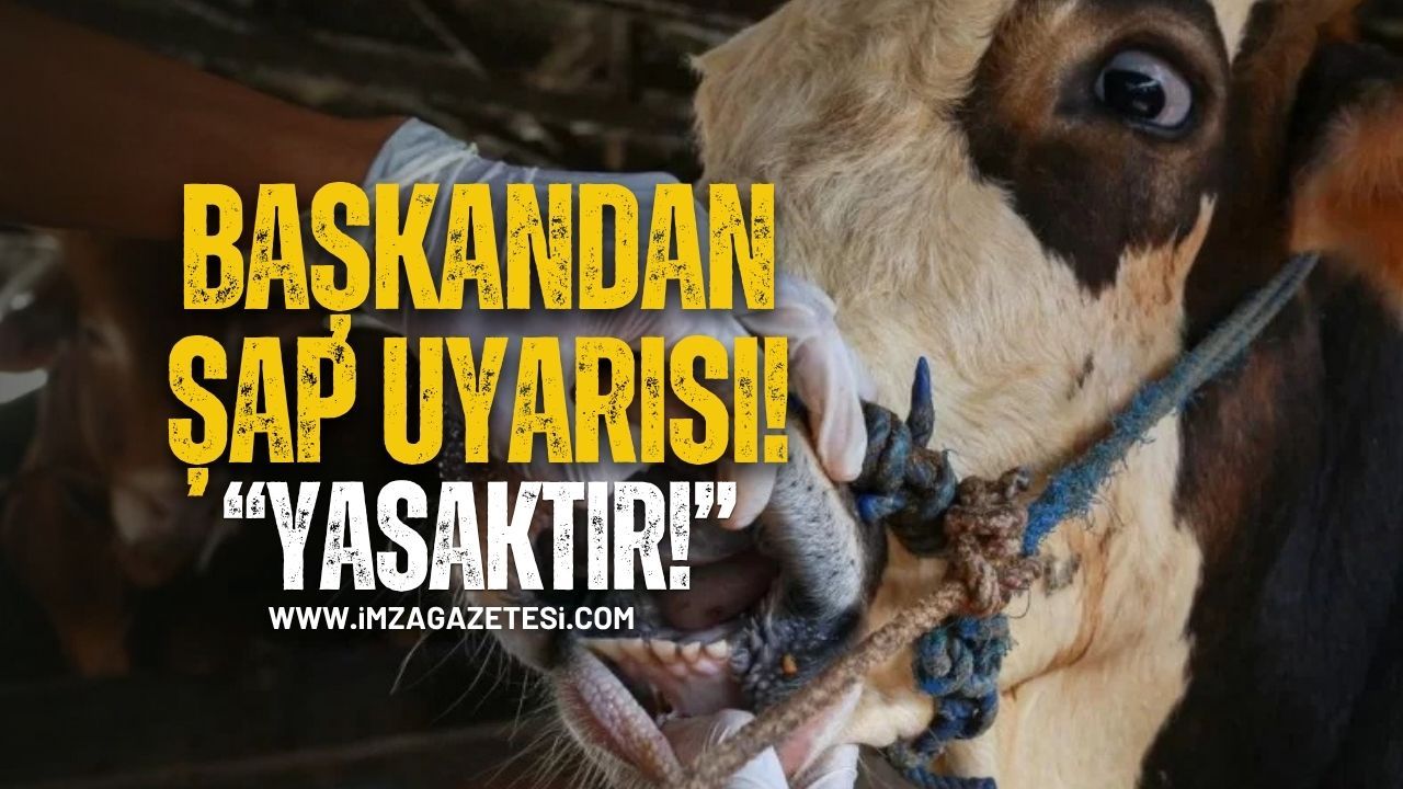 Muhtarlar Derneği Başkanından Şap Hastalığı Uyarısı!