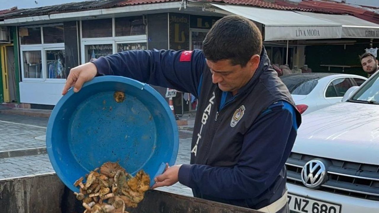 Devrek'te Mantar Operasyonu! Tek Tek İmha Edildi!