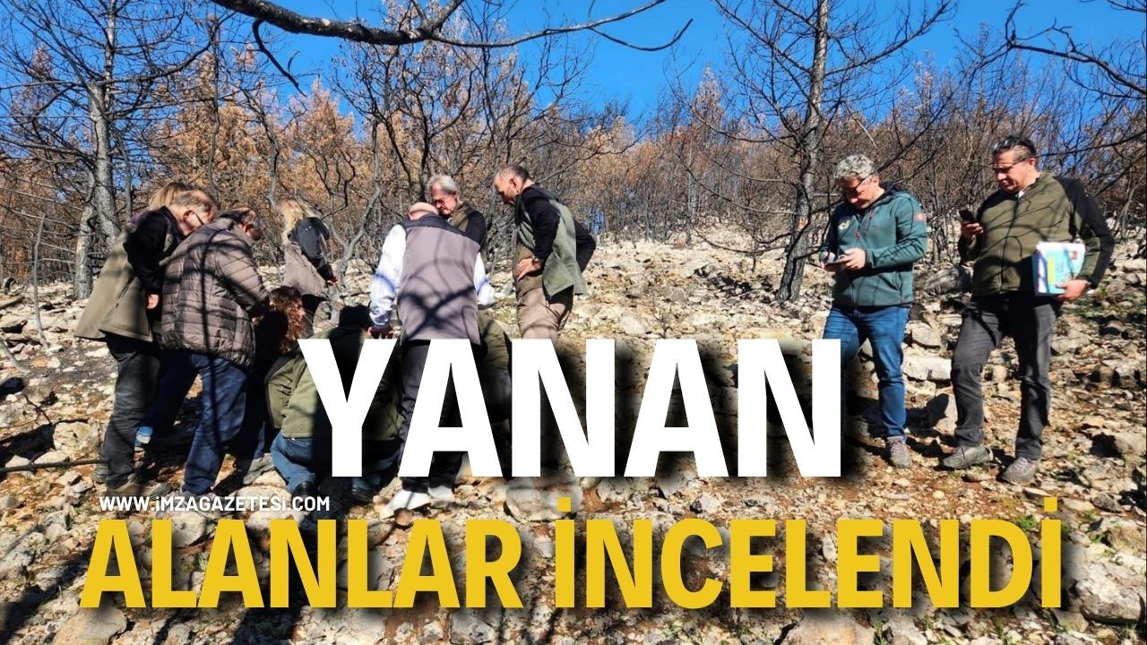 Yanan Alanlar İncelendi!