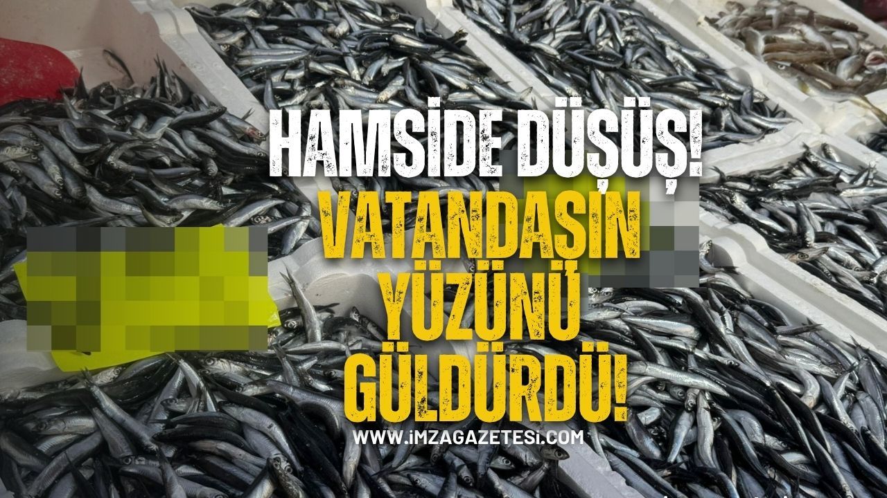Zonguldak’ta Hamsi fiyatı düştü!