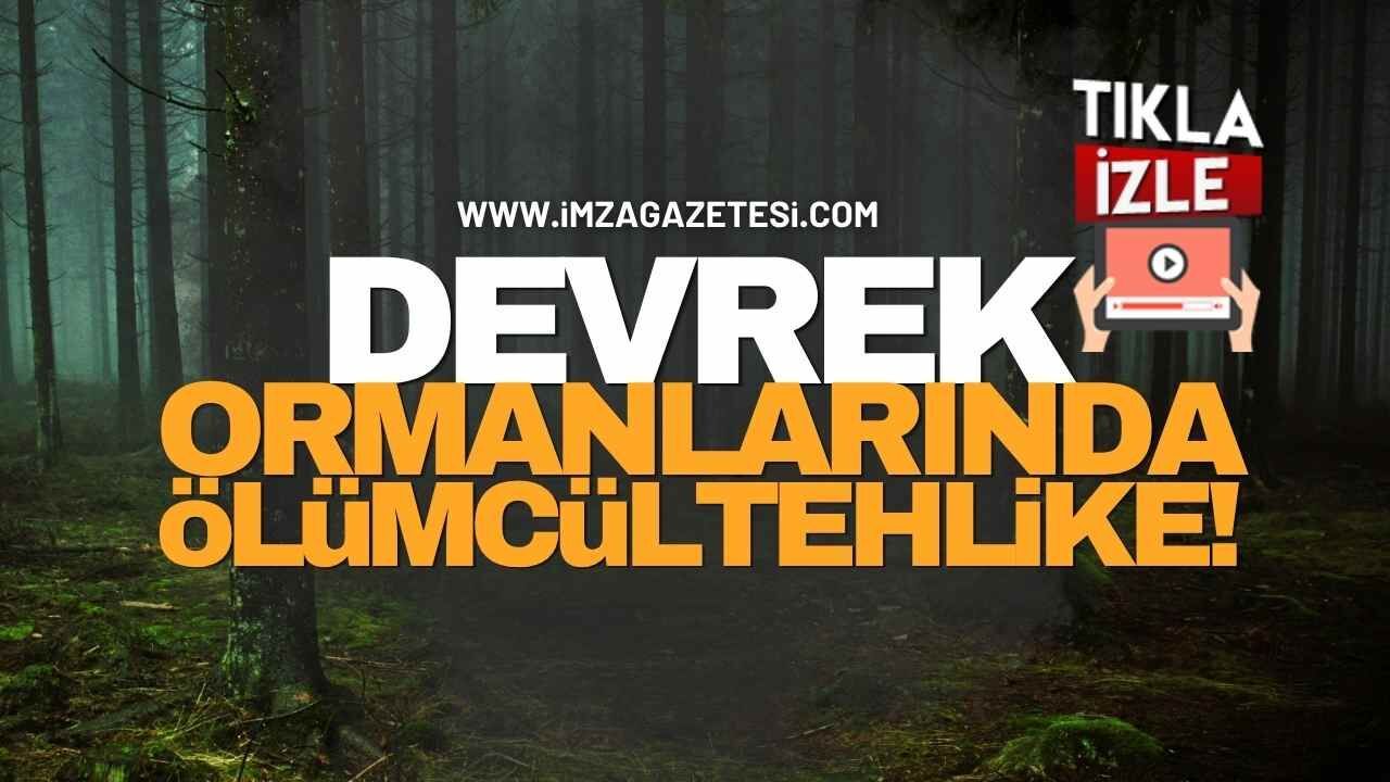 Devrek Ormanlarında Ölümcül Tehlike!