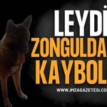 Zonguldak Belediyesi Arıtma Tesisinden Kayboldu: "Leydi" Aranıyor