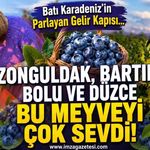 Batı Karadeniz'in Parlayan Gelir Kapısı... Zonguldak, Bartın, Bolu ve Düzce Bu Meyveyi Çok Sevdi!