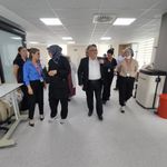 BEUN Rektörü Prof. Dr. İsmail Hakkı Özölçer’den Eczacılık ve Onkoloji İncelemesi