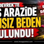 Devrek'te Boş Arazide Cansız Beden Bulundu!