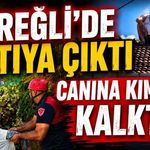 Ereğli'de Çatıya Çıktı Canına Kıymaya Kalktı!