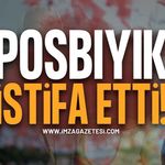 Posbıyık CHP'den İstifa Etti: Yeni Parti'ye Geçti