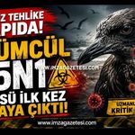 Sessiz Tehlike Kapıda! Ölümcül H5N1 Virüsü İlk Kez Ortaya Çıktı!
