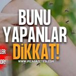 Bunu Yapanlar Dikkat! Sivrisinekler İlk Sizi Hedef Alıyor!