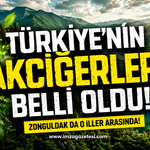 Türkiye'nin Akciğerleri Belli Oldu! Zonguldak da O İller Arasında!