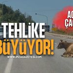 Vatandaşlardan Yetkililere Acil Çağrı! Tehlike Büyüyor!