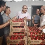 Müdür İlk Hasada Katıldı!