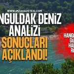 Zonguldak Deniz Analiz Sonuçları Açıklandı! Hangi Plajlar Güvenli, Hangilerine Girmek Yasak?