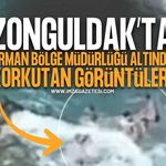 Zonguldak Orman Bölge Müdürlüğü Altında Tehlikeli Görüntüler!
