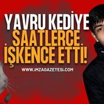 Yavru Kediye Saatlerce İşkence Etti!