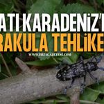 Drakula, Doğu ve Doğu Karadeniz'den Sonra Batı Karadeniz'de!