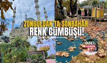 Zonguldak’ta sonbahar renk cümbüşü!