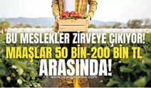 2025'te Hangi Meslekler Zirveye Çıkacak? Teknoloji ve Geleneksel Alanlarda Şaşırtıcı Talep Artışı!