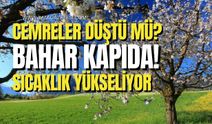 Cemreler Düştü mü? Sıcaklıklar Hızla Yükseliyor!