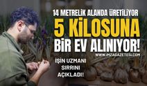 Bu Ürünün 5 Kilosuna Ev Alınıyor!