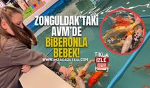 Zonguldak’taki AVM’de Minikler Balıkları Biberonla Bebek…!