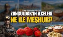 Zonguldak’ın İlçeleri Ne İle Meşhur?