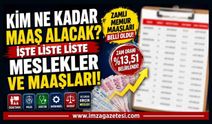 Kim Ne Kadar Maaş Alacak? İşte Liste Liste Meslekler ve Maaşları!
