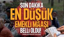 SON DAKİKA: En Düşük Emekli Maaşı Belli Oldu! TBMM Komisyonu'ndan Onay Çıktı