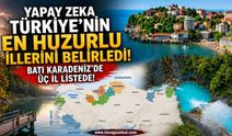 Yapay Zeka Türkiye'nin En Huzurlu İllerini Belirledi! Batı Karadeniz'de Üç İl Listede!