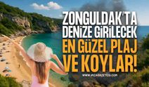 Zonguldak'ta Denize Girilecek En Güzel Plaj ve Koylar