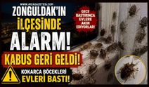 Zonguldak'ın ilçesinde Alarmı! Kabus geri geldi!