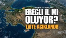 Türkiye’de İl Olmaya Aday 24 İlçe Gündemde! Zonguldak Ereğli de Listede