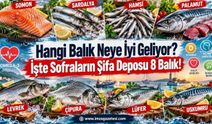Hangi Balık Neye İyi Geliyor? İşte Sofraların Şifa Deposu 8 Balık!