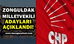 Zonguldak CHP Milletvekili Aday Listesi Açıklandı!