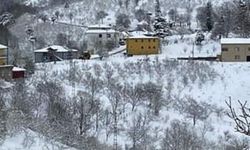 Zonguldak'a Kar Yağdı!