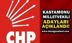 CHP Kastamonu Milletvekili Adayları Açıklandı!