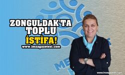 Memleket Partisi Zonguldak İl Başkanlığı'nda Toplu İstifa!