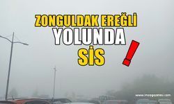 Zonguldak-Ereğli Yolunu Sis ve Yoğun Yağış Kapattı!