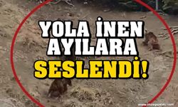 Yola İnen Ayılara Seslendi!