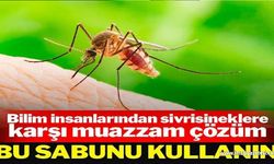 İtici buldular: Sivrisinekleri uzaklaştırmak için ideal koku…