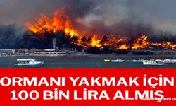 Bodrum’daki yangının faili ormanı 100 bin TL’ye yakmış…