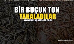 Bir buçuk ton yakaladılar, halk şokta!