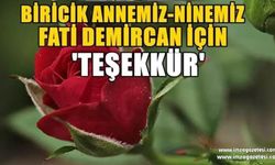 BİRİCİK ANNEMİZ-NİNEMİZ FATİ DEMİRCAN İÇİN TEŞEKKÜR...